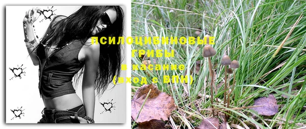 эйфоретик Хадыженск