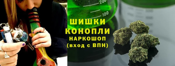 индика Верхний Тагил