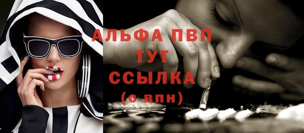 скорость Бородино