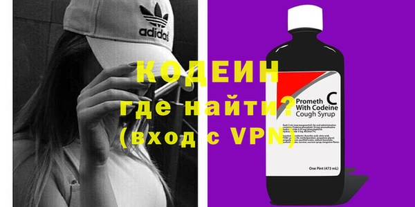 индика Верхний Тагил