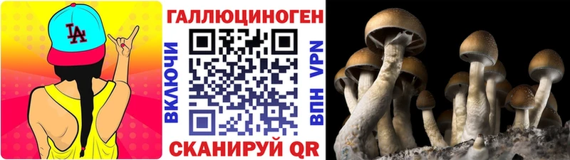 Купить закладки Обоянь Галлюциногенные грибы GOLDEN TEACHER